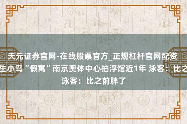 天元证券官网-在线股票官方_正规杠杆官网配资 一只野生小鸟“假寓”南京奥体中心拍浮馆近1年 泳客：比之前胖了