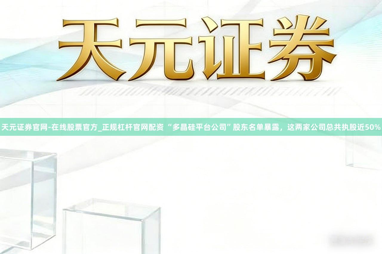 天元证券官网-在线股票官方_正规杠杆官网配资 “多晶硅平台公司”股东名单暴露，这两家公司总共执股近50%